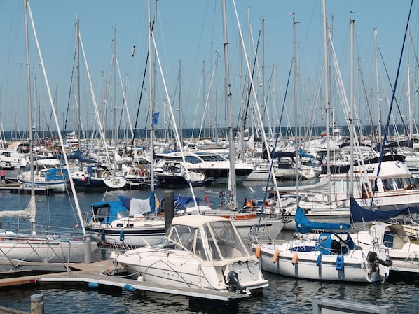 Departamento | Vista desde la propiedad