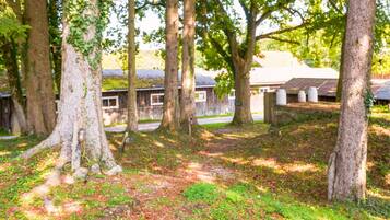 House | Garden