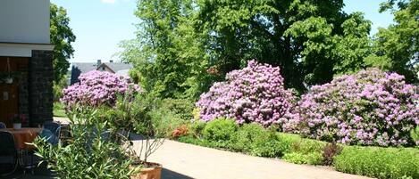 Apartment | Exterior