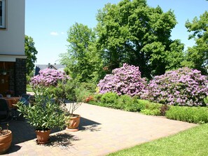 Un jardín con macetas y arbustos florecientes.