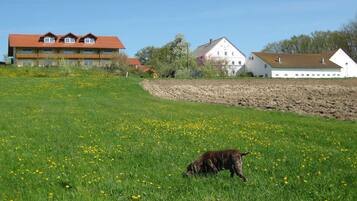 Apartemen | Eksterior