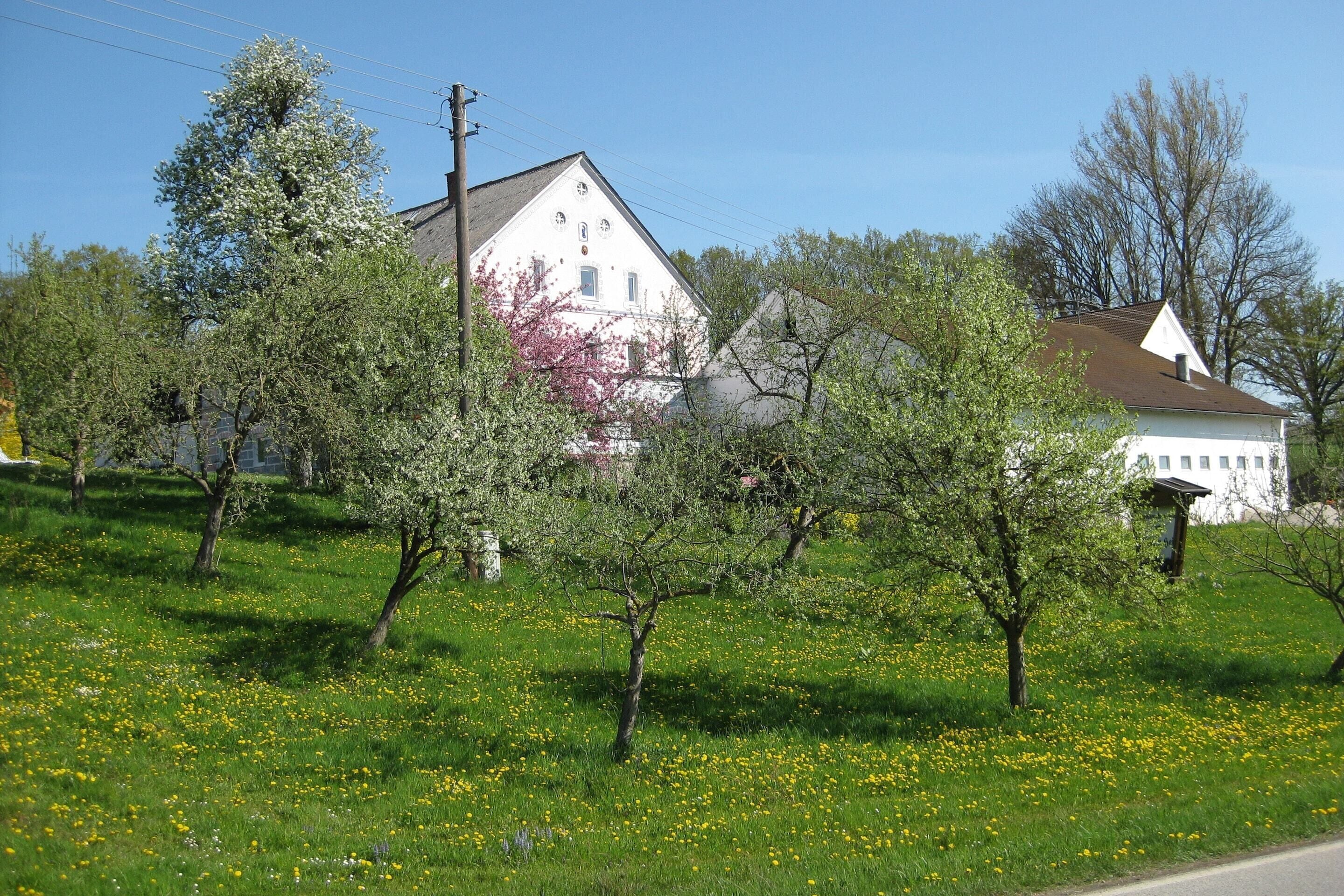 Apartment | Garten