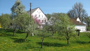 Leilighet | Hage