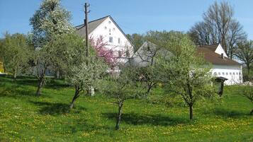 Apartment | Garten
