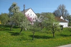 Lägenhet | Trädgård