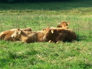 Apartment | Blick von der Unterkunft