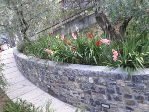 Căn hộ | Ngoại thất