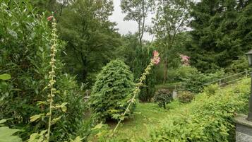 Bungalow | Garden