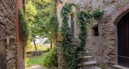 Guest House in Monferrato With Wine Tasting