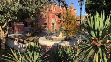 House | Property grounds