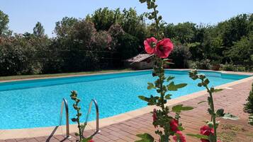 House | Pool | Outdoor pool