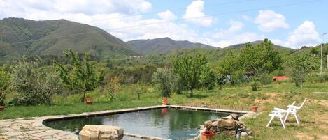 House | Pool | Outdoor pool