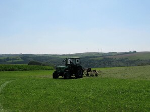 House | View from property