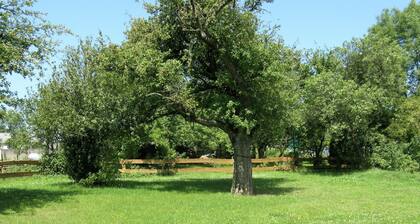 Large Group House, Beautifully Located in Eifel