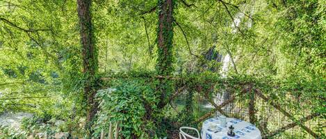 Cottage | Garden
