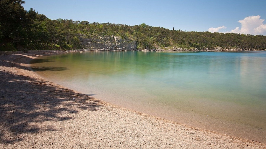 Apartment in Omisalj With Rooftop Terrace