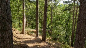 A forested area with a dirt path leading to a wooden bridge. - Peaceful Farmhouse in Dicomano (Dicomano)