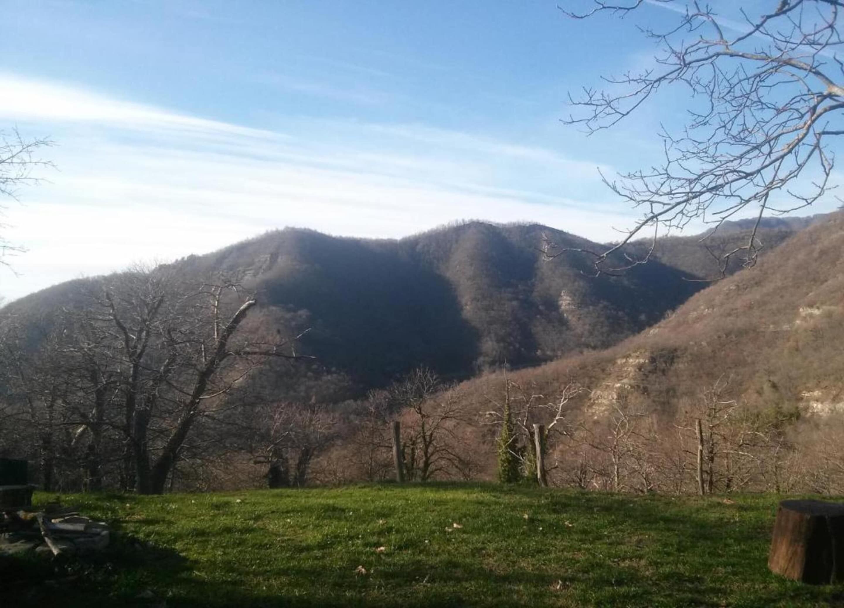 Un paisaje montañoso con un primer plano de hierba y árboles desprovistos de hojas.