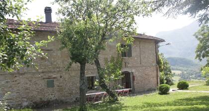 Serene Villa in Imola Amid the Forest