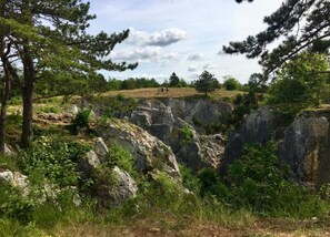 A natural landscape with rocky terrain, trees, and a clear sky. - Peaceful Garden Hideaway (Froidchapelle)