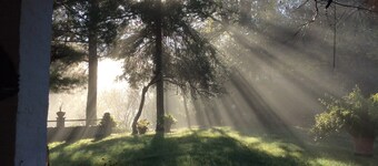 Cottage in Montefiore Near Forest and Beach