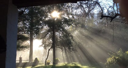 Cottage in Montefiore Near Forest and Beach