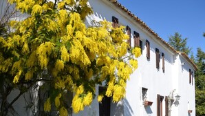 A white building with a tiled roof and multiple windows. - Cottage in Montefiore Near Forest and Beach (Montefiore Conca)