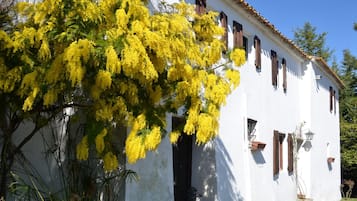 Cottage | Exterior