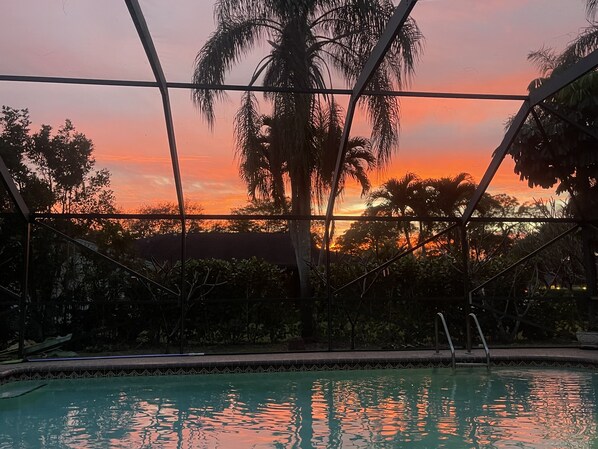 A pool area with a view of the sunset through a glass enclosure, surrounded by palm trees and other vegetation.