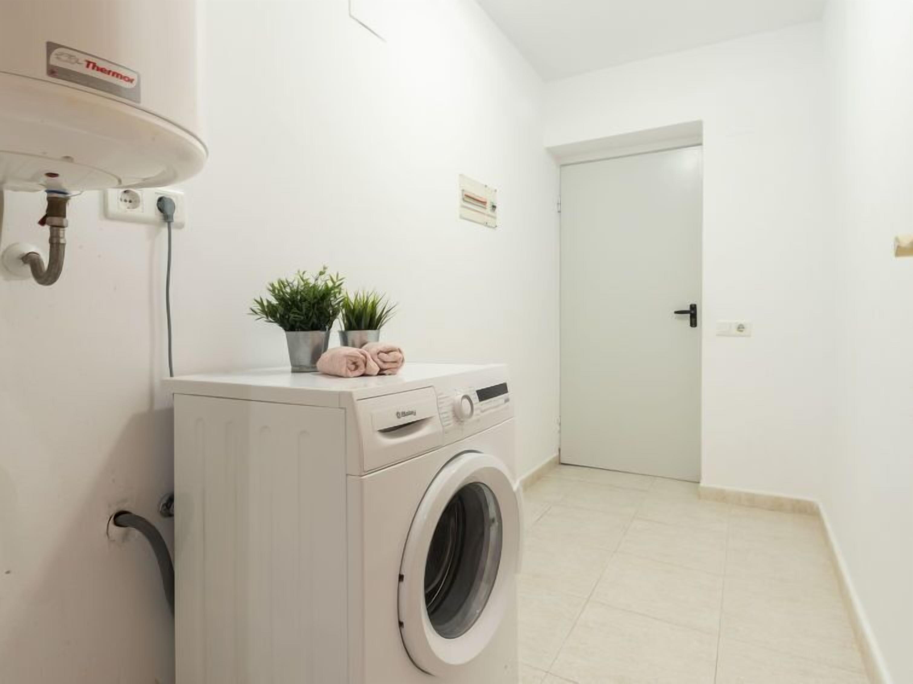 A compact laundry room with a front-loading washing machine, a water heater, and a potted plant on the counter.