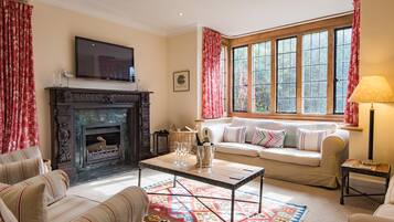 Télévision, cheminée, lecteur de DVD