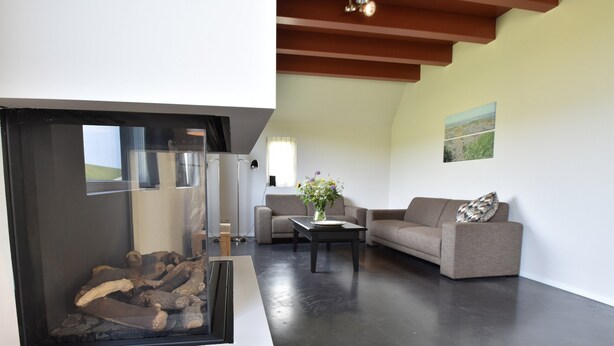 A modern living room with a fireplace, a sofa, a coffee table, and a painting on the wall. - Traditional Villa in Tzummarum near Sea (Tzummarum)