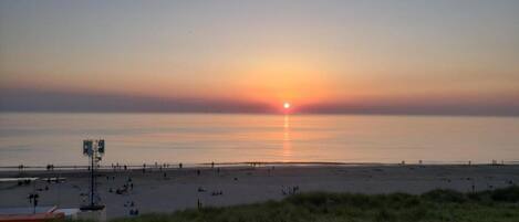Bungalow | Vue depuis lâhĂ©bergement