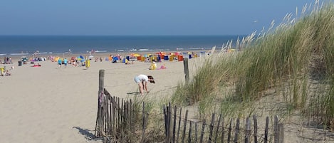Bungalow | Utsikt från boendet