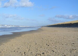 Bungalow | View from property - Lovely Family House on Edge of Park near Lake & Sea (Noordwijkerhout)