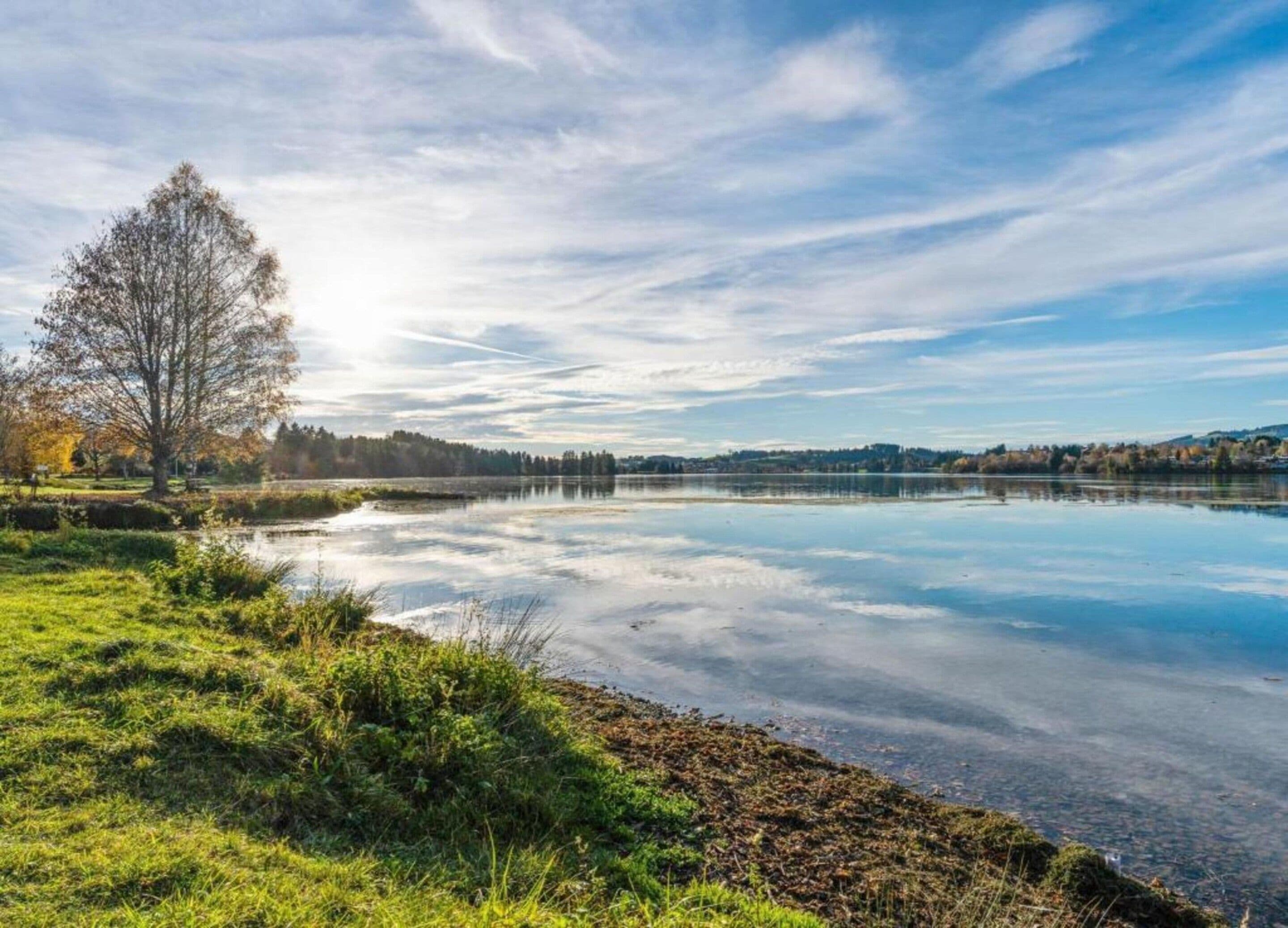 A serene lake with a clear sky, surrounded by greenery and trees.