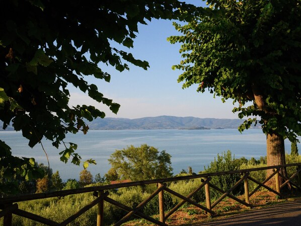 Ein schöner Aussichtspunkt mit Holzzaun, üppigem Grün und Blick auf einen ruhigen See und ferne Berge.