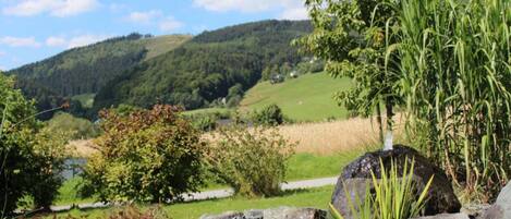 Apartment | View from property