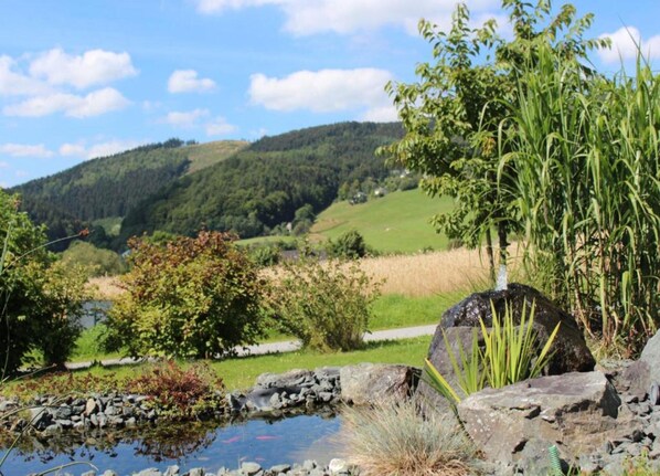 Apartment | View from property - Wohnung in Willingen am Ettelsberg Skilift (Willingen)