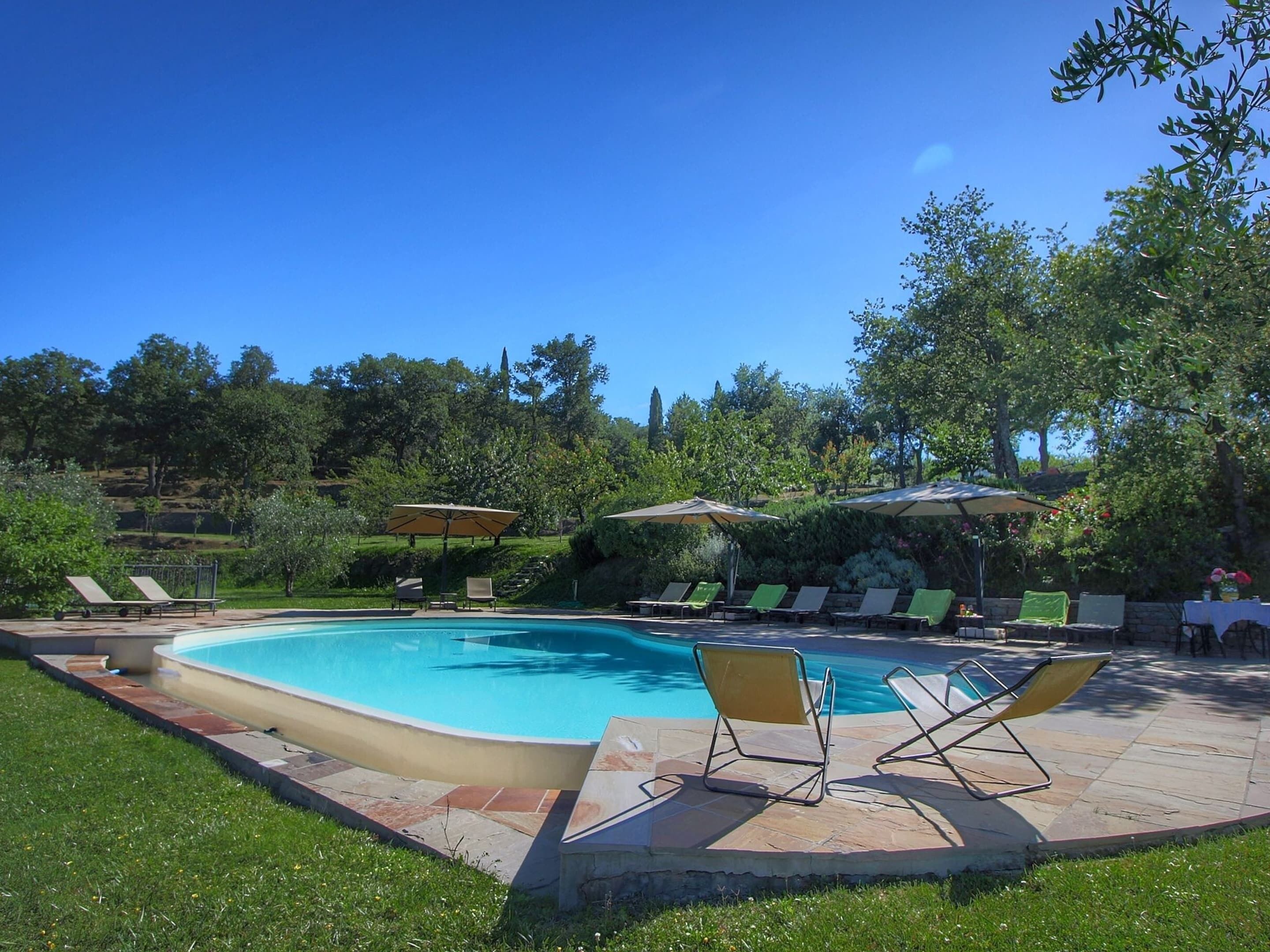 A swimming pool with lounge chairs and umbrellas, surrounded by greenery and trees.