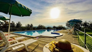 Une piscine entourée de verdure, avec des chaises longues et des parasols, sous un ciel dégagé.