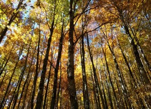 ハウス | 施設からの眺望