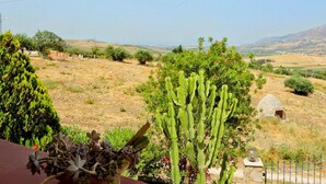 Un paysage rural avec des cactus et des arbustes, une construction en pierre et un ciel dégagé.