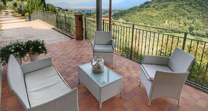 Pet-friendly Cottage With Pool