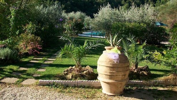 A garden with a large terracotta pot, various plants, and a distant view of a hill. - Pet-friendly Cottage With Pool (Bettona)