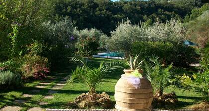 Pet-friendly Cottage With Pool