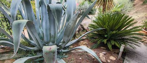 Cottage | Interior detail