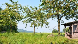 Ulkopuoli