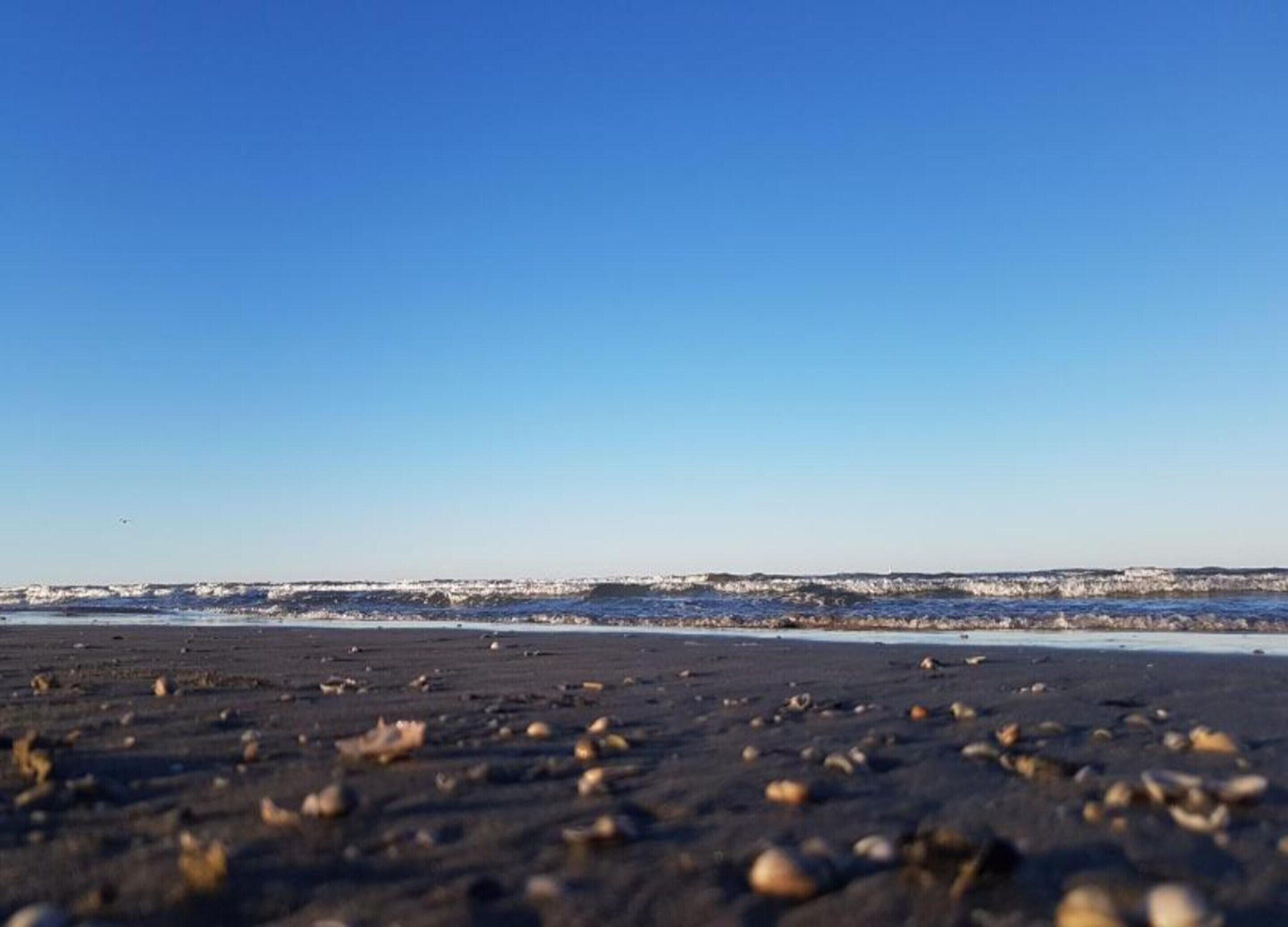 A beach with a clear sky.