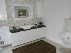 Apartment | Bathroom | Hair dryer